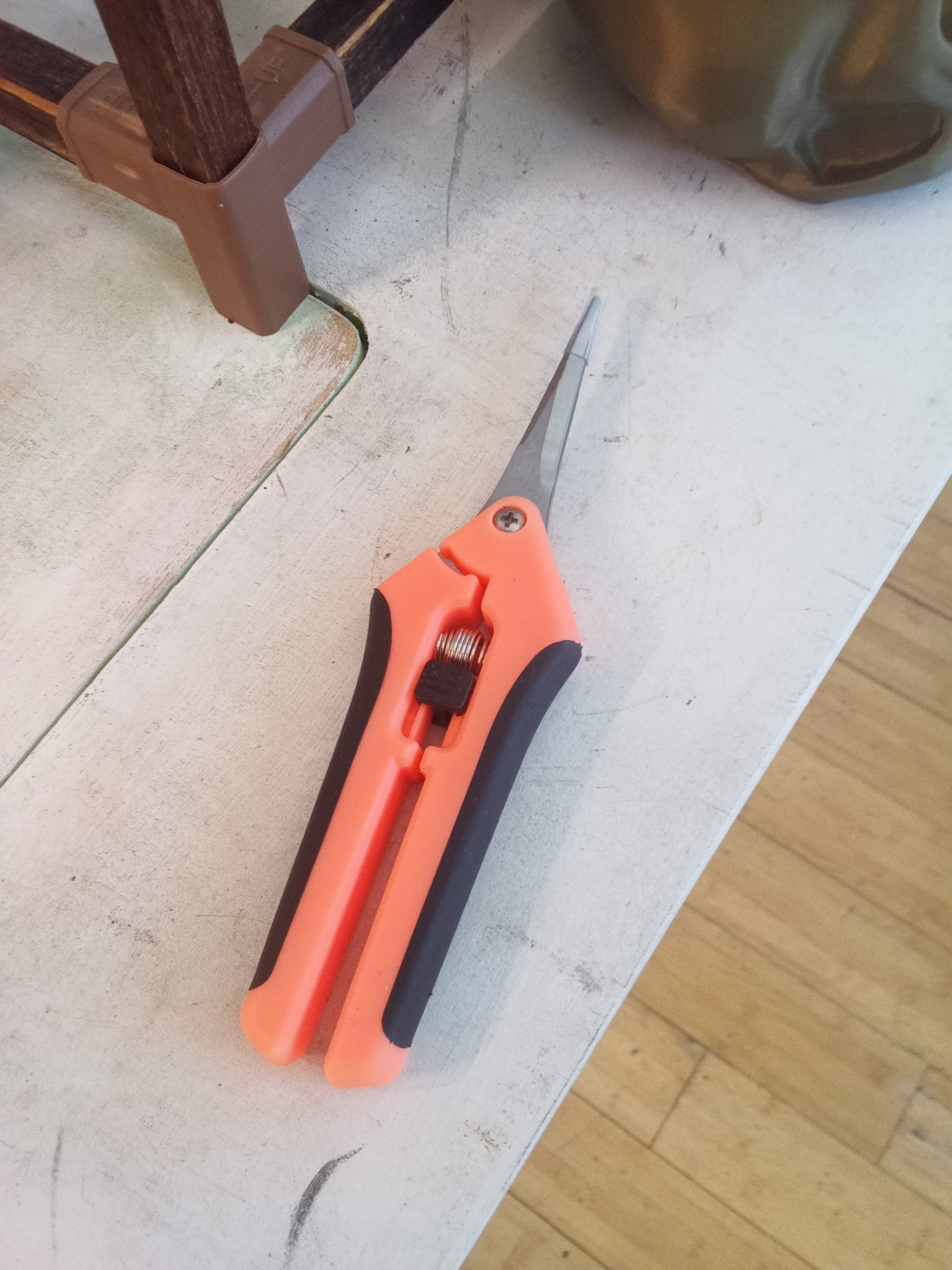 Pruning scissors