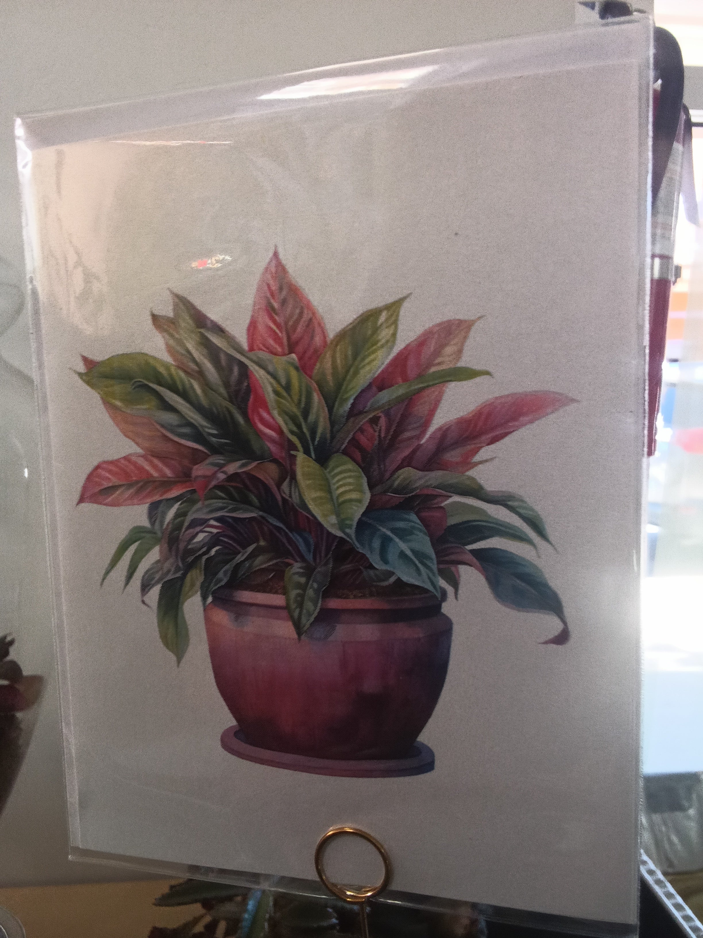 Plant card