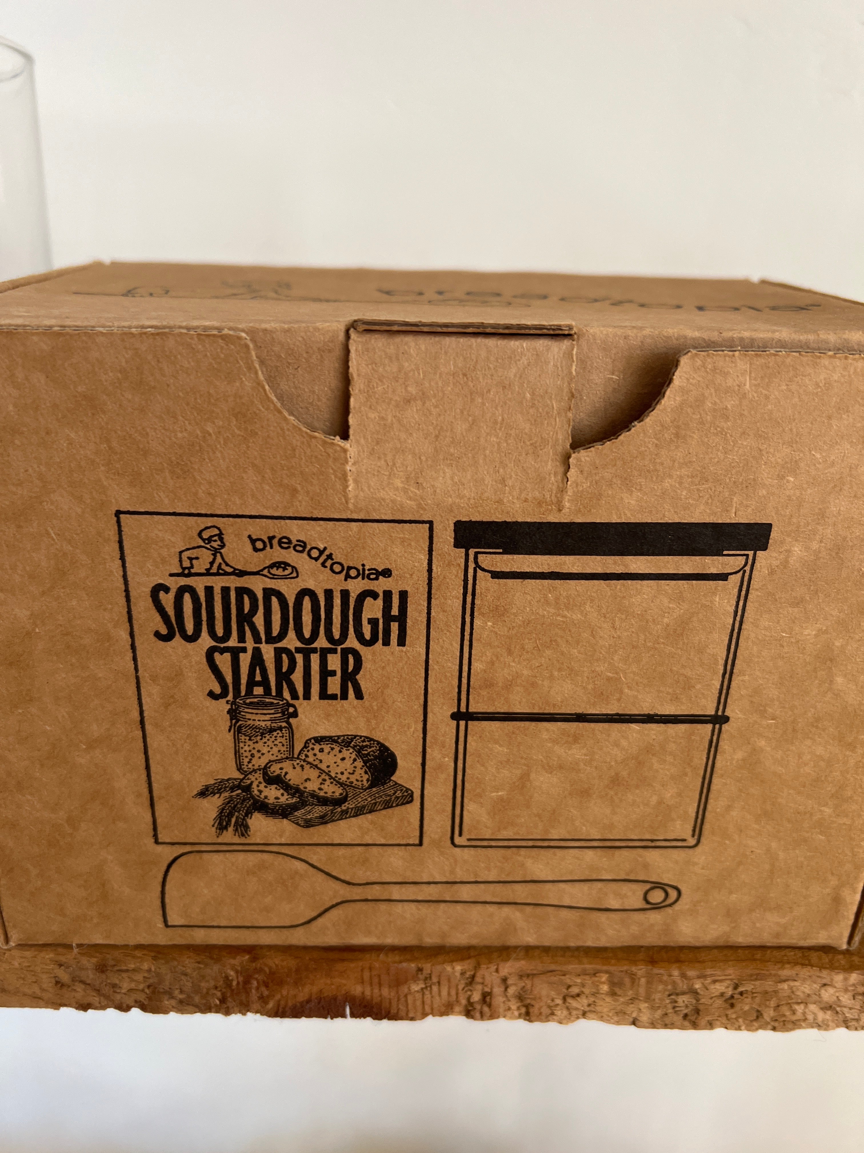 Sourdough starter
