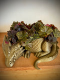 Dragon Pot